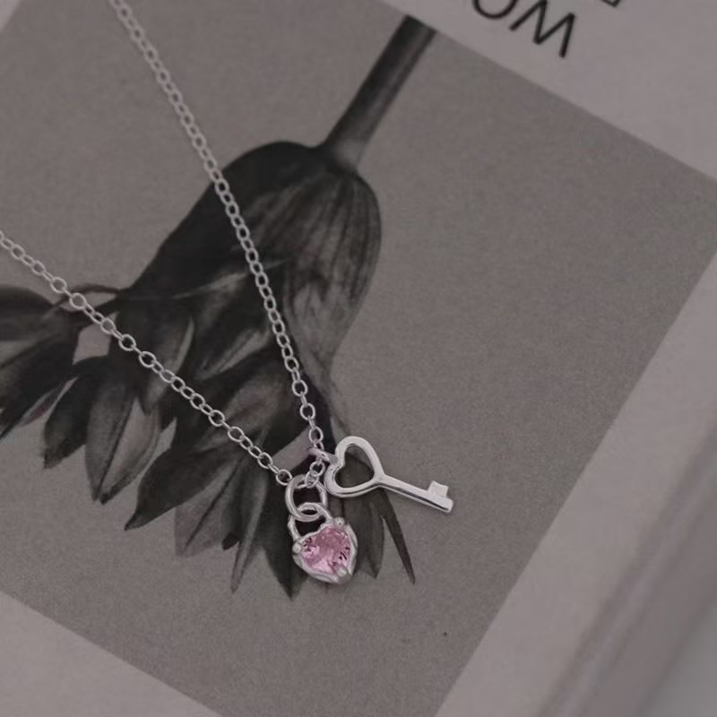 Collar de Corazón y Llave de Acero de Titanio con Circones